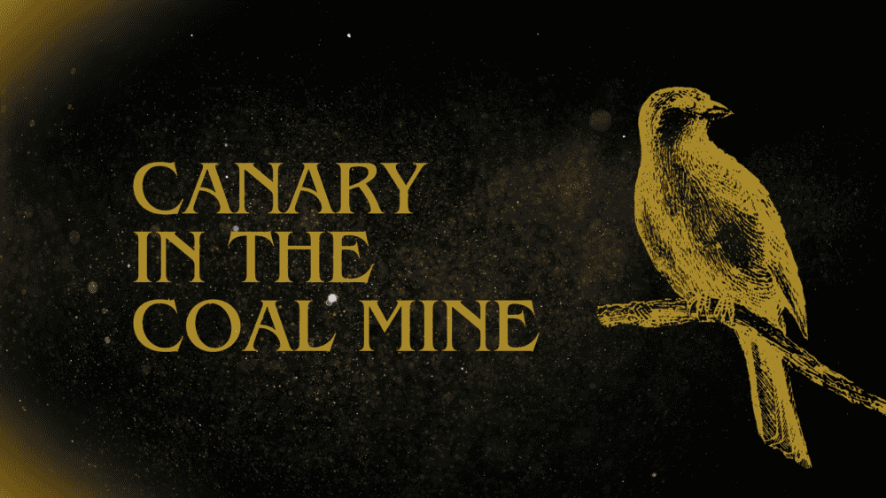 Canary In The Coal Mine